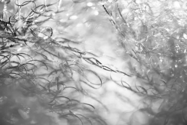 Soyut arkaplan. Karmaşık kablolar. Bulanık parlak doku. Makro görüntü. Seçici yumuşak odak