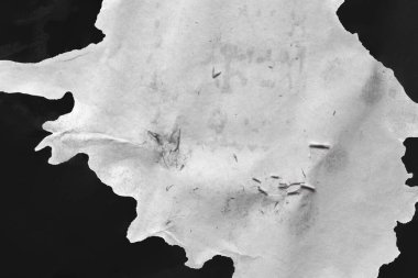 Wet paper. A torn piece of wet white paper on a black sheet of paper. Abstract texture