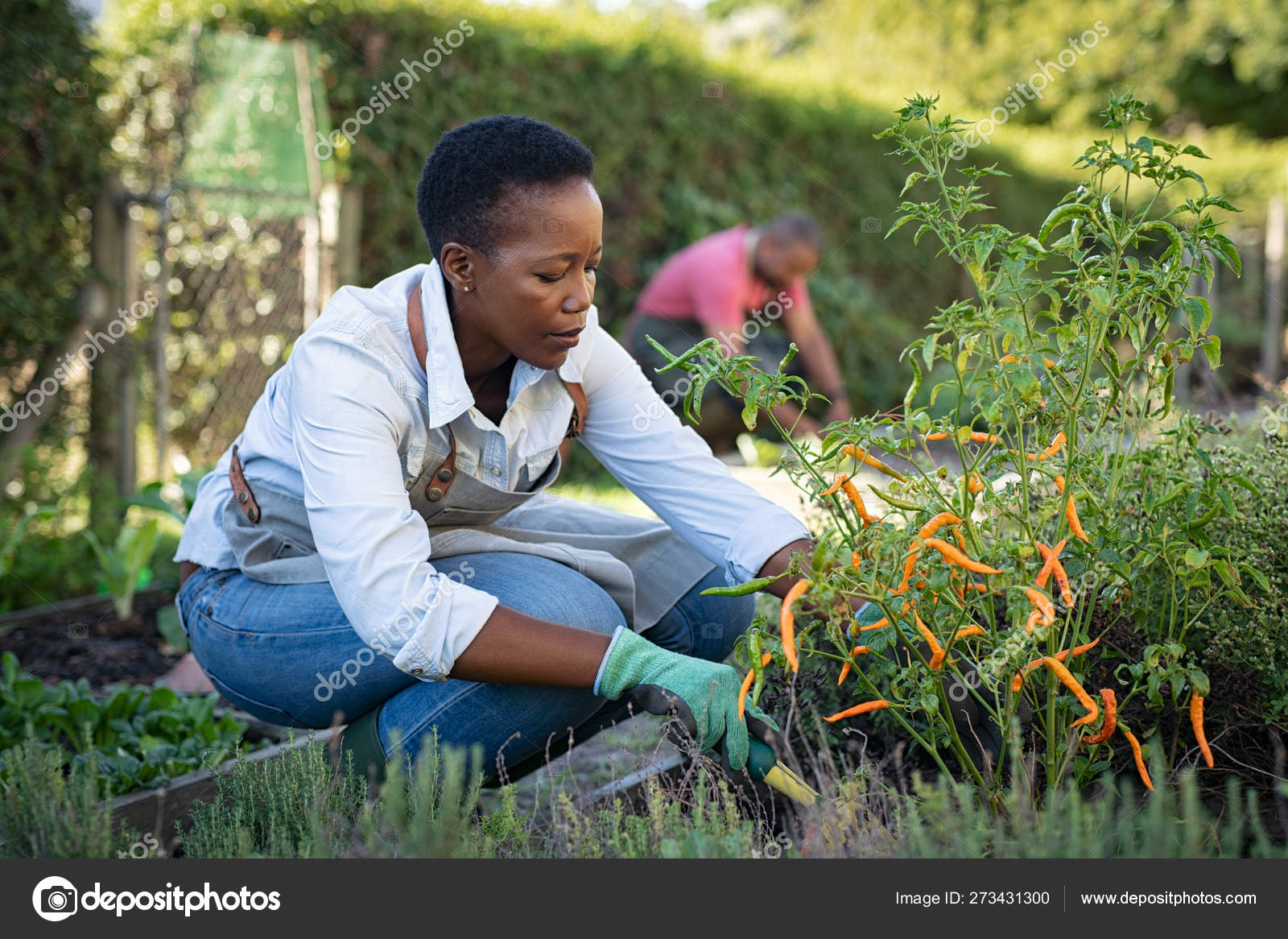 Femme africaine cultive des plantes dans le jardin image libre de