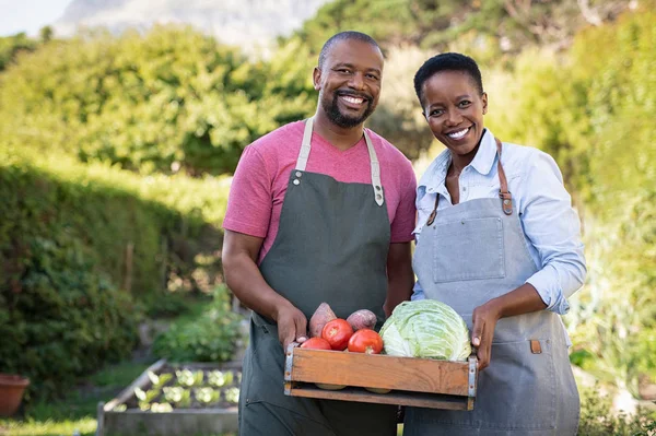 Coppia di agricoltori africani che detengono una cassa di verdure — Foto Stock