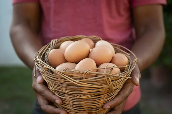 Black hands holding basket of eggs — Stock Photo, Image