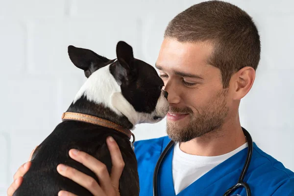 Tierarzt liebt Hund — Stockfoto