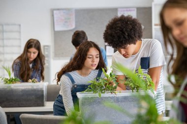 Çok ırklı öğrenciler okul laboratuarında bitki deneyleri üzerinde çalışıyorlar. Bilim laboratuarındaki bir grup lise öğrencisi bitki köklerinin incelenmesini anlıyorlar. Genç adam ve kız evrende filizlerin büyümesini inceliyor ve inceliyor.