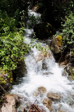 Şelale Machu Picchu, Peru giderken Inca izinde.