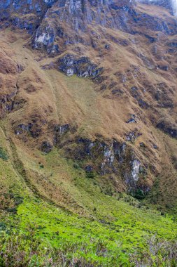 Çiçek, çimen ve And Dağları taşları.