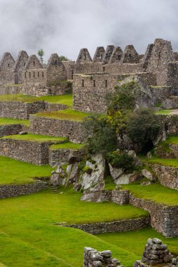 Machu Picchu harabeleri ve yeşil alanlar.