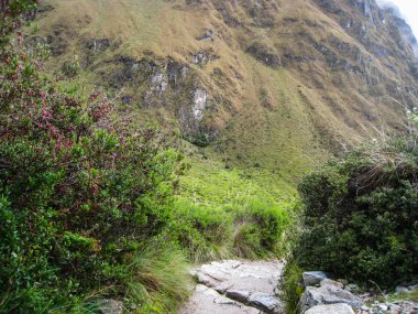 Antik Inca Trail döşeli yolda Machu Picchu zammı. Peru. Hiçbir insan