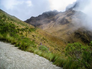 Antik Inca Trail döşeli yolda Machu Picchu zammı. Peru. Hiçbir insan