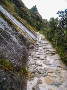 Antik Inca Trail döşeli yolda Machu Picchu zammı. Peru. Hiçbir insan