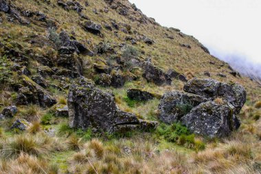 Andes dosyalanmış bir taşı.