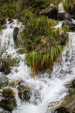 Şelale Machu Picchu, Peru giderken Inca izinde.