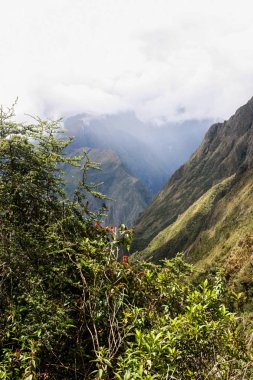 Çiçekler, dağlar ve bulutlar.