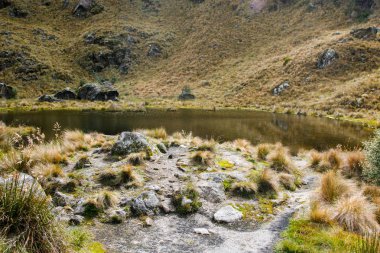 Vadideki küçük bir göl.