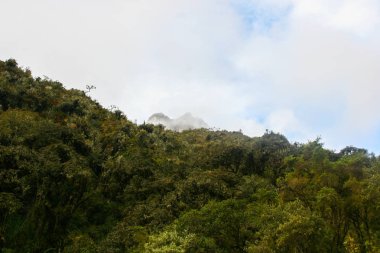 Dağ tepe arkasında bir dağın vahşi orman.