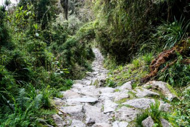 Inca Trail Machu Picchu için. Peru. Güney Amerika. Hiçbir insan.