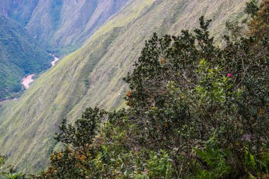Çiçekler, su ve dağlar.