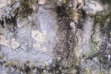 Yıpranmış beton duvar doku.