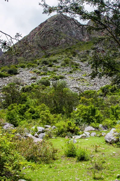 Vista vertical de la selva salvaje de los Andes . —  Fotos de Stock