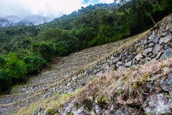 Terrazas ocultas por la naturaleza . —  Fotos de Stock