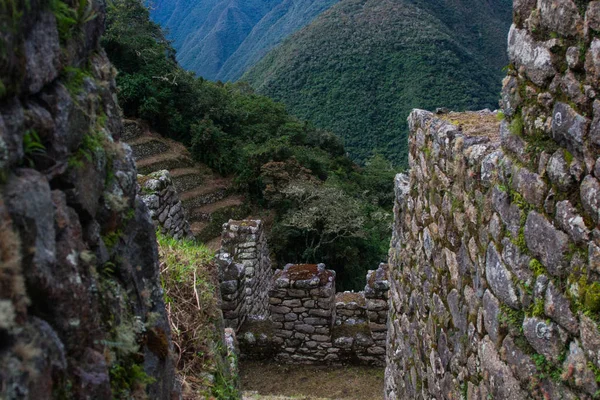 Gyönyörű háttér az Inca romok elveszett a természet. — Stock Fotó