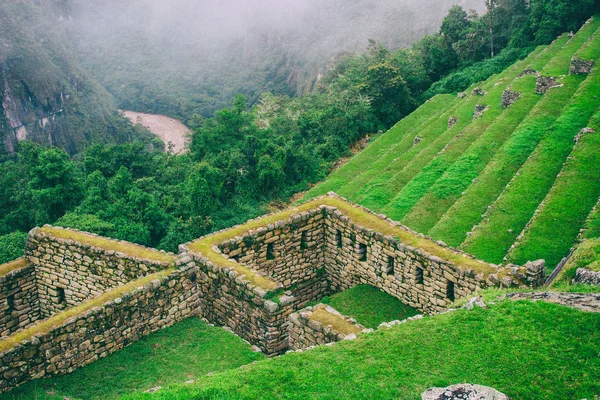 Fond d'écran de Machu Picchu terrasse agricole . — Photo