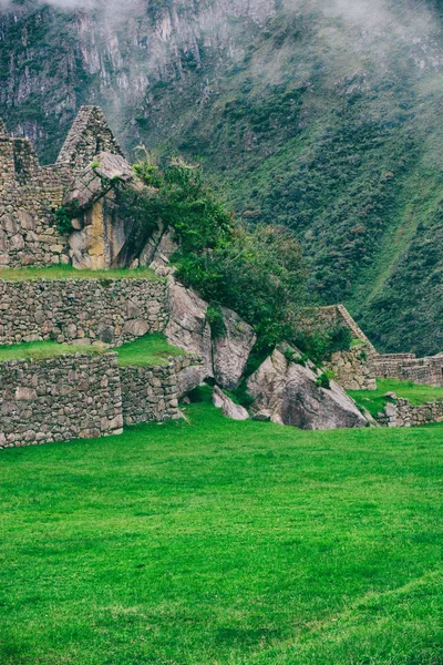 Zelená pole Machu Picchu. — Stock fotografie