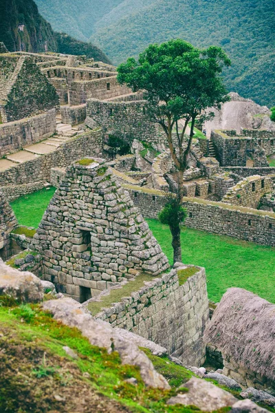 Inca architekturu detaily v Machu Picchu se stromem. — Stock fotografie