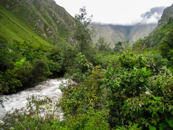 Stormachtige wateren in de wilde jungle. — Stockfoto