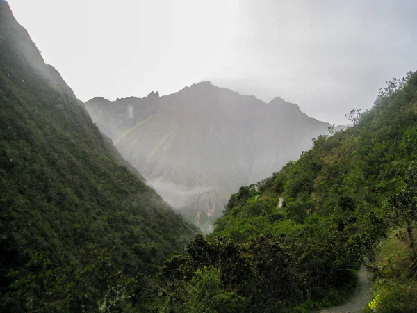 Il sentiero, la giungla selvaggia e le montagne . — Foto Stock
