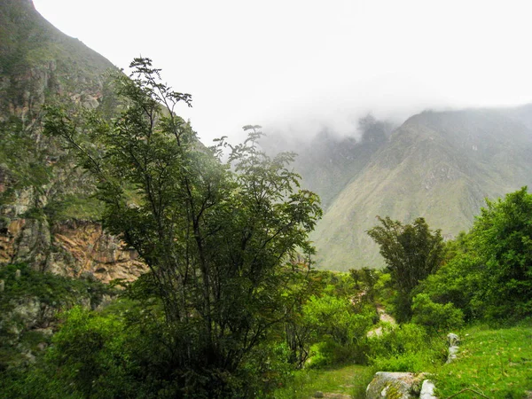 Natur der Anden-Berge. — Stockfoto