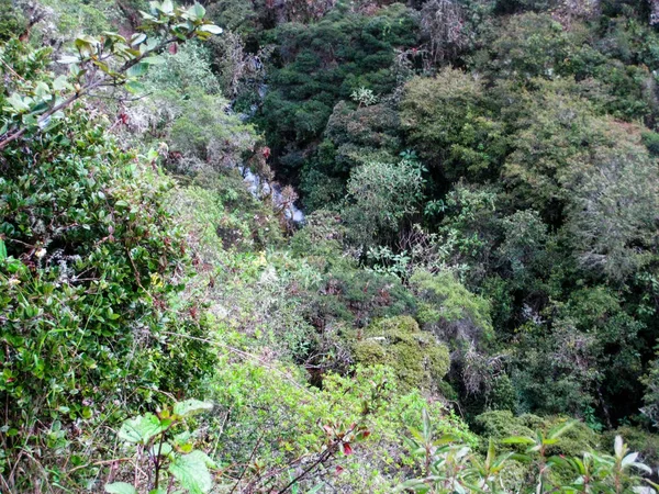 El agua fluye sobre la naturaleza salvaje . —  Fotos de Stock