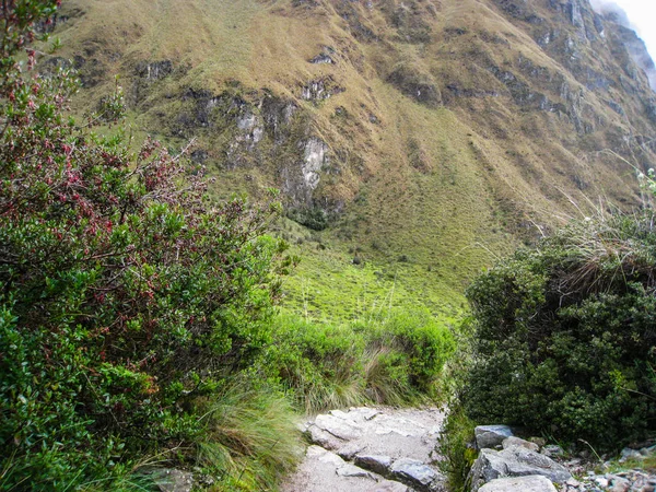 Kirándul a régi Inca nyom kövezett úton a Machu Picchu. Peru. Nem az emberek — Stock Fotó