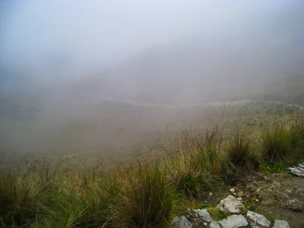 Caminhada na antiga Trilha Inca caminho pavimentado para Machu Picchu. Peru. Não há pessoas — Fotografia de Stock