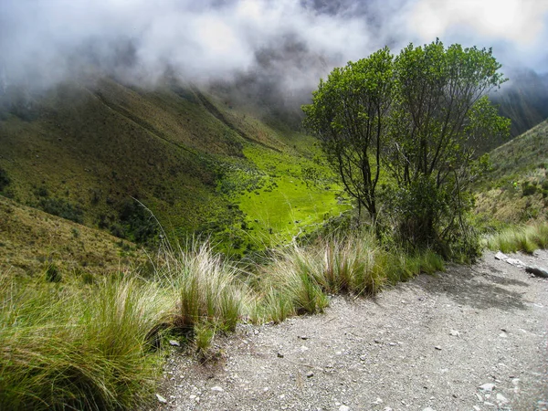 Wycieczka na starożytnych Inca Trail betonowa ścieżka do Machu Picchu. Peru. Nie ma ludzi — Zdjęcie stockowe