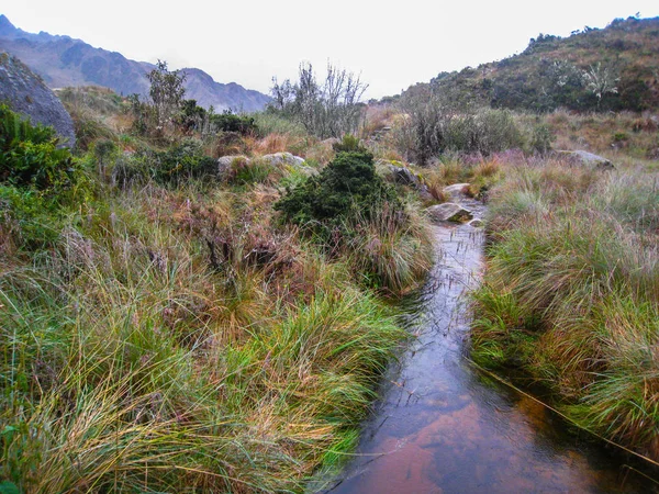 Corriente de agua Andes . — Foto de Stock