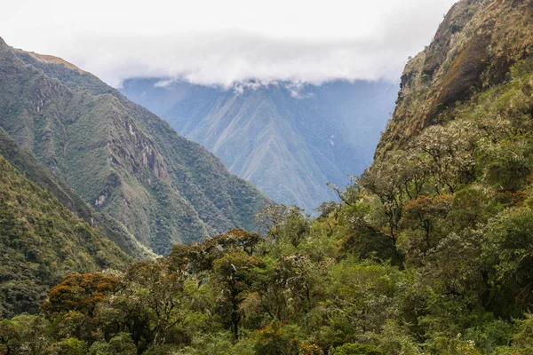 Natura selvaggia delle Ande . — Foto Stock