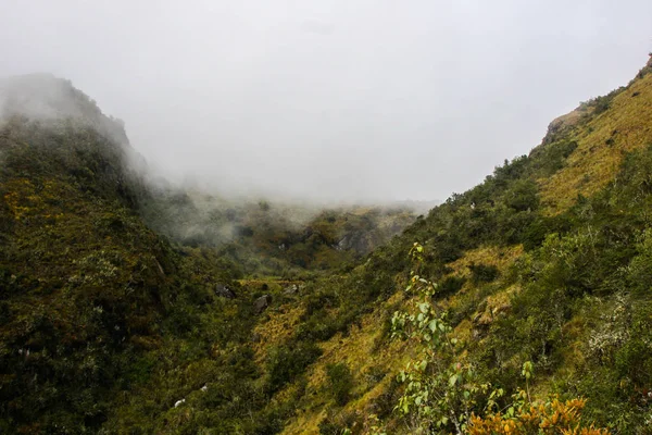 Valle verde e gialla nella nebbia . — Foto Stock