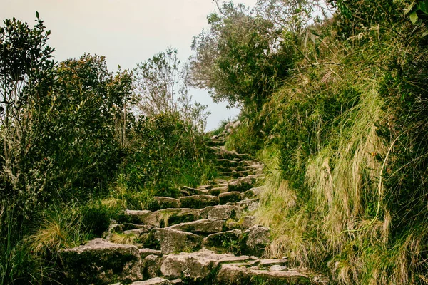 Camino Inca a Machu Picchu. Perú. Sudamérica. No hay gente . — Foto de Stock