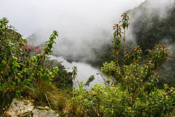 Antiguas flores y el agua cerca de las montañas . — Foto de Stock