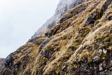 Rocky Dağları sarı çim kaplı.