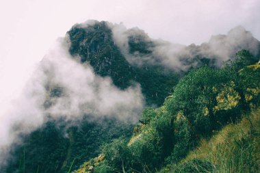Inca Trail, Andes bulutlar ile vahşi ormandan. Peru.