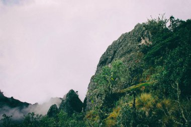 Andes Dağları doğa ayrıntı güzel duvar kağıdı.