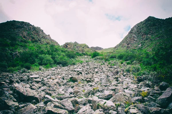 一条由石头组成的小路 在安第斯山脉的山顶上 有山丘和绿树 没有人 — 图库照片