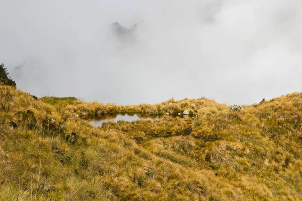 山の下に黄色の草の湖. — ストック写真