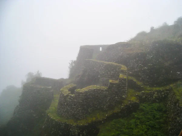 Ruinas cubiertas por la naturaleza al amanecer . —  Fotos de Stock