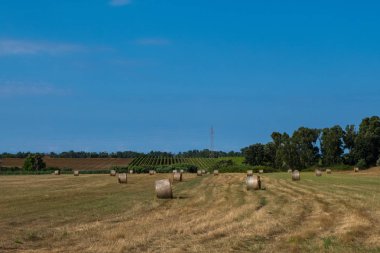 Manzara arka planını saman saman balya mavi gökyüzü ile bir alanda.