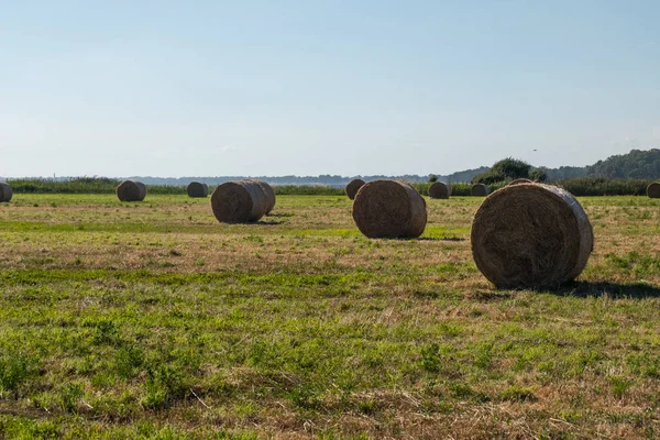 Straw bales on a green field. Beautiful background image. — Stock Photo, Image