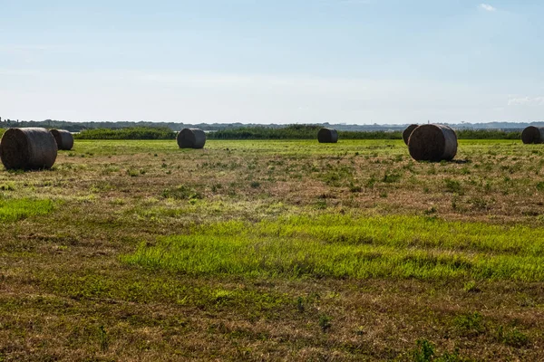 Landscape background of hay bales in a field. — Stock Photo, Image