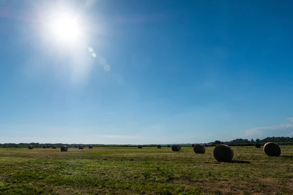 Straw bales on a green field. Beautiful background image. — Stock Photo, Image