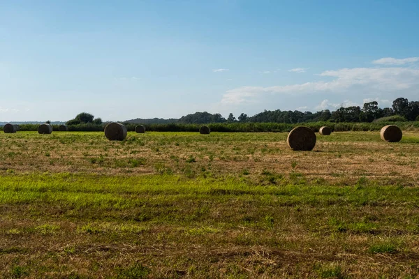 Landscape background of straw bales in a field. — Stock Photo, Image